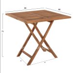 bm_71896_set-trapezarias-exot-choroy-ptyssomena-3-2