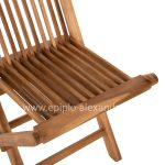 bm_71896_set-trapezarias-exot-choroy-ptyssomena-3-6