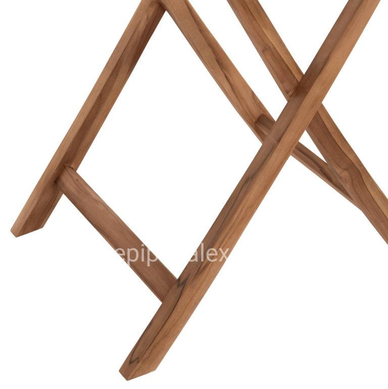 bm_71896_set-trapezarias-exot-choroy-ptyssomena-3-7