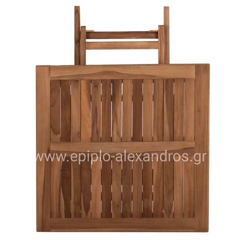 bm_71896_set-trapezarias-exot-choroy-ptyssomena-3-8