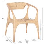bm_73486_polythrona-esotchoron-fb9995601-fysiko-r-1